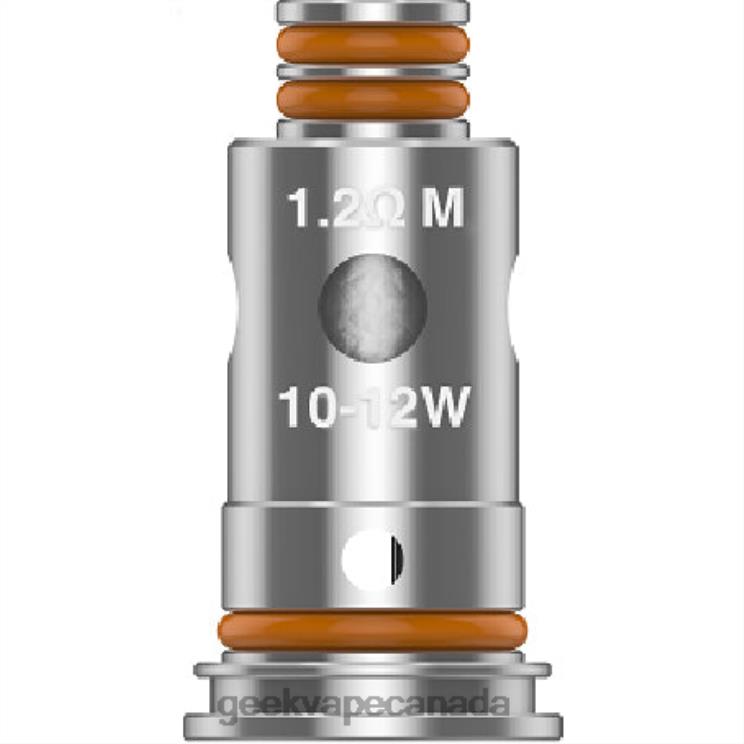 G1.8 OHM - GEEK VAPE shop 5pcs/Pack G Series Coil PZ46T26 GeekVape